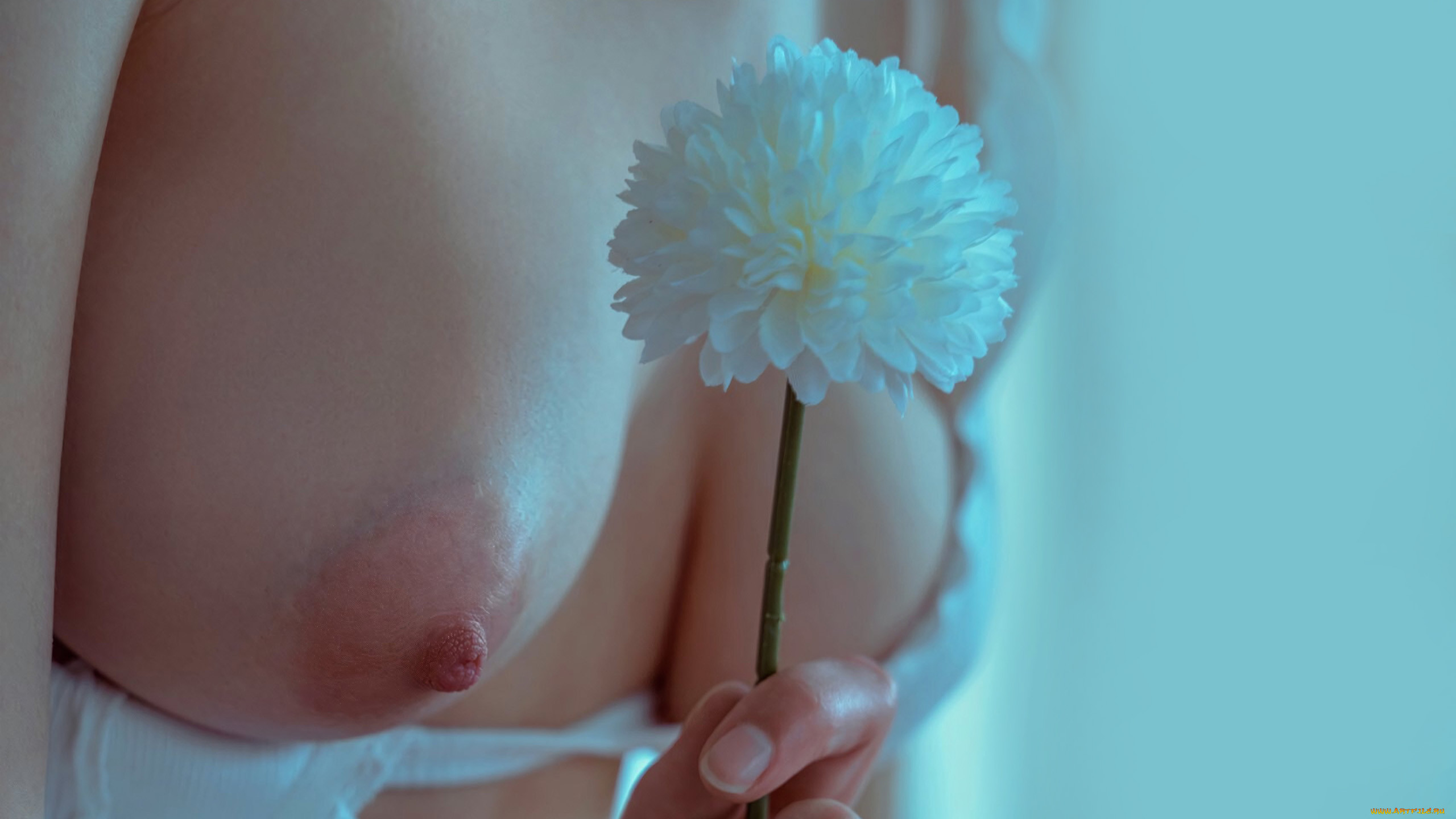 ,   ,  , , 